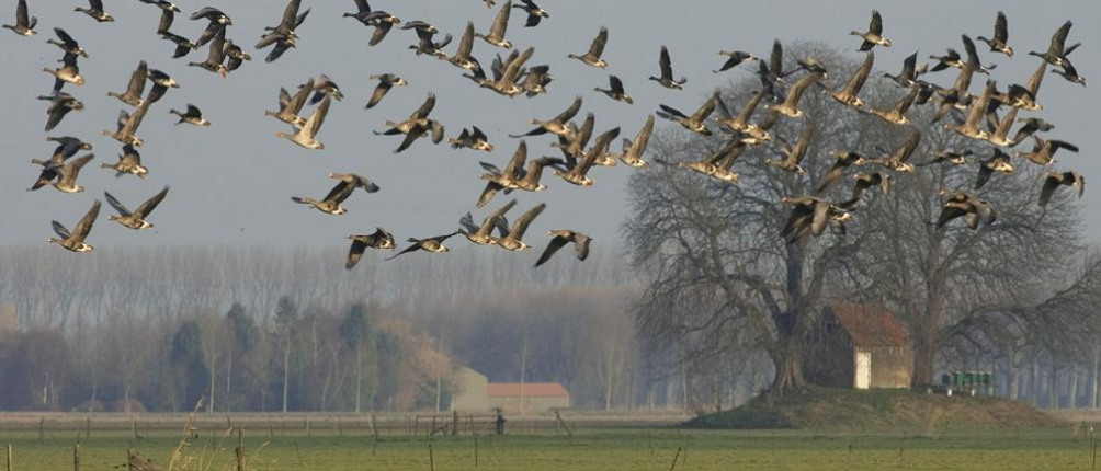 Naar buiten